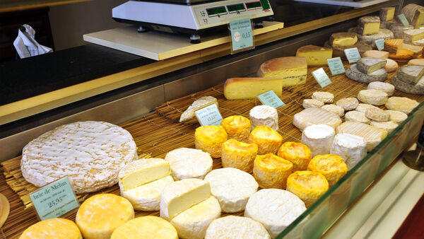 Cheese for sale in a shop in Beaune, France