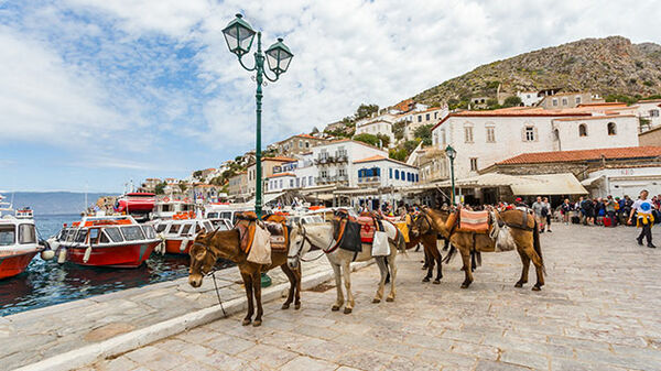 Donkeys in Hydra
