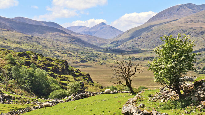 Green hills of the Iveragh Peninsula, along the Ring of Kerry, Ireland