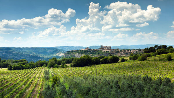 Orvieto