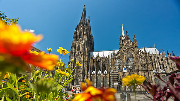 Cathedral with flowers, Cologne, Germany