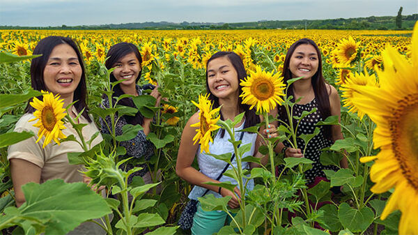 Gals in sunflower field, Hungary