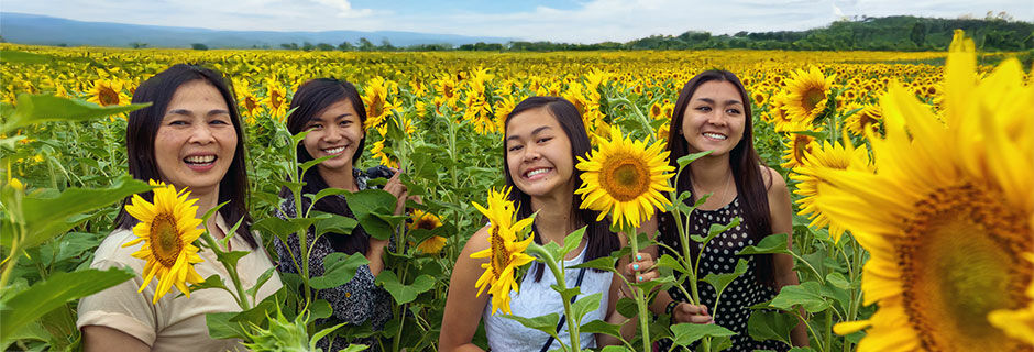 Gals in sunflower field, Hungary