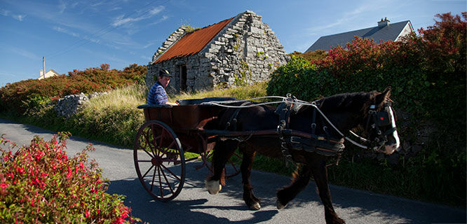 Horse and cart, Dingle, Ireland