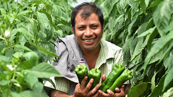 farmer holding green peppers