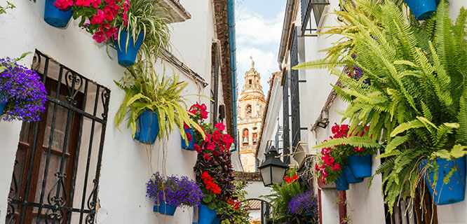 Street with flower pots, Cordoba, Spain