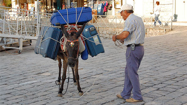donkey with load of suitcases on back