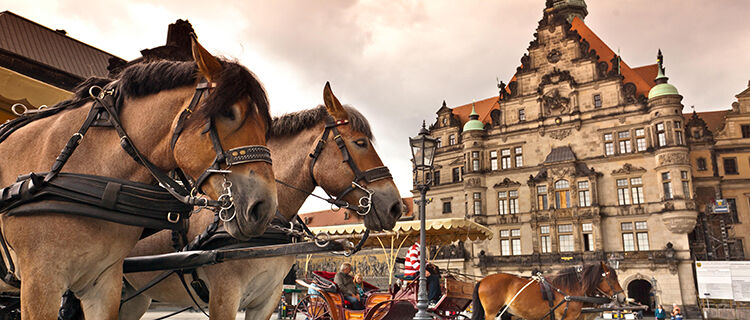 Horses and carriage at Royal Palace, Dresden, Germany
