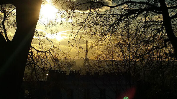 Eiffel Tower in winter sun, Paris, France