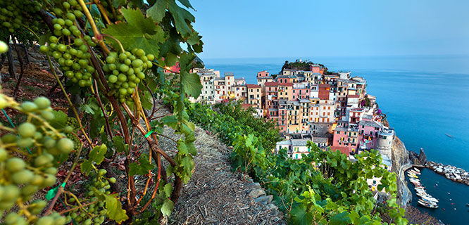 Overview of Manarola, Cinque Terre, Italy 