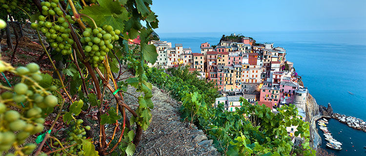 Overview of Manarola, Cinque Terre, Italy