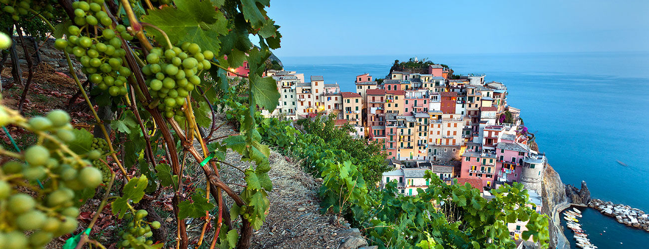 Overview of Manarola, Cinque Terre, Italy