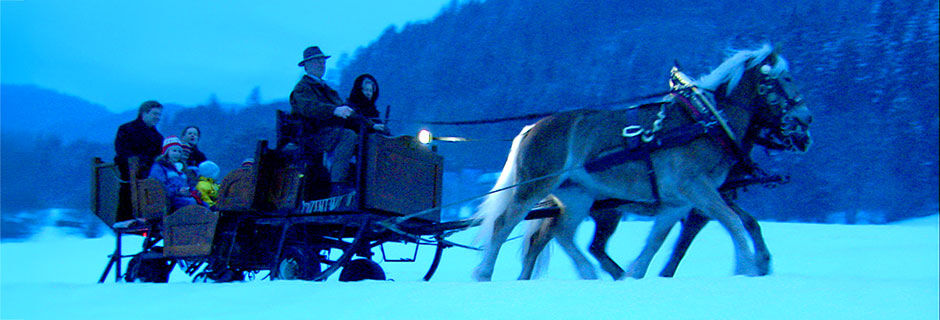 Rick and family in horse-drawn sleigh, European Christmas