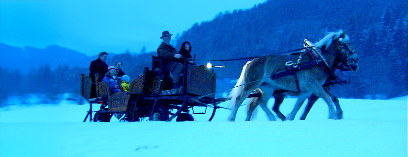 Rick and family in horse-drawn sleigh, European Christmas