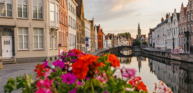 pink and orange flowers in for front of a canal lined by buildings
