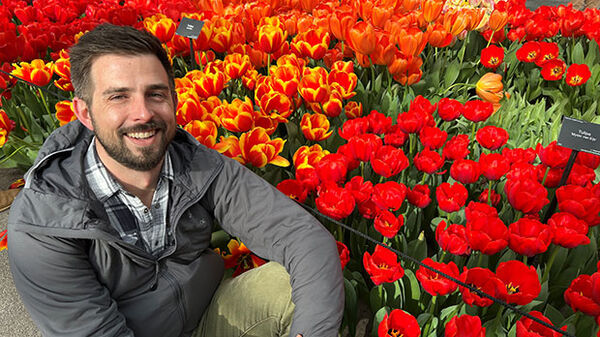 man sitting in tulips