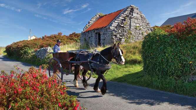 Horse-drawn cart, Inishmore, Aran Islands, Ireland