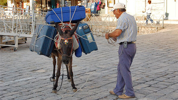 Donkey carrying luggage, Hydra, Greece