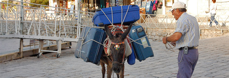 Donkey carrying luggage, Hydra, Greece