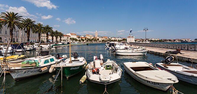 harbor with small boats buildings and palm trees in background