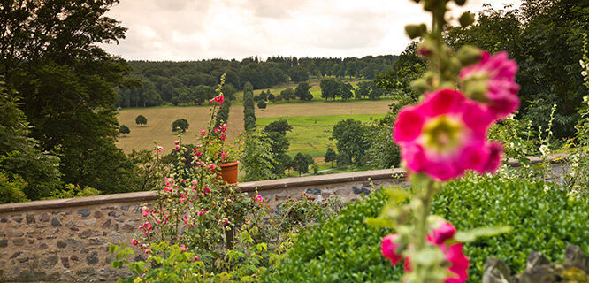 green field behind tone wall andk flowers