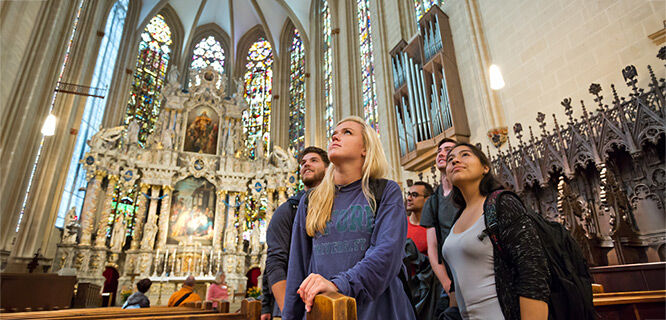 cathedral interior with group of people gazing at ceiling