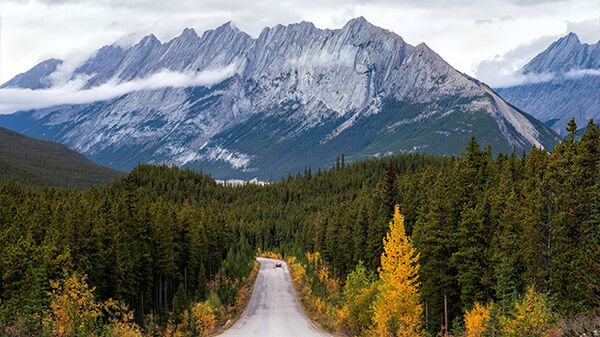 Jasper Road, Alberta, Canada