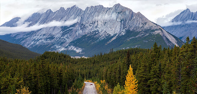 Jasper Road, Alberta, Canada