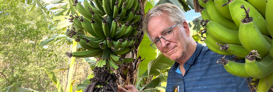 Rick amid bananas, Central America